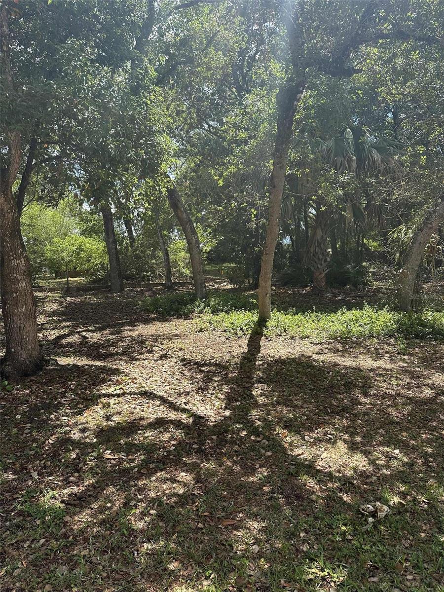 E ELM DR Property Photo 1