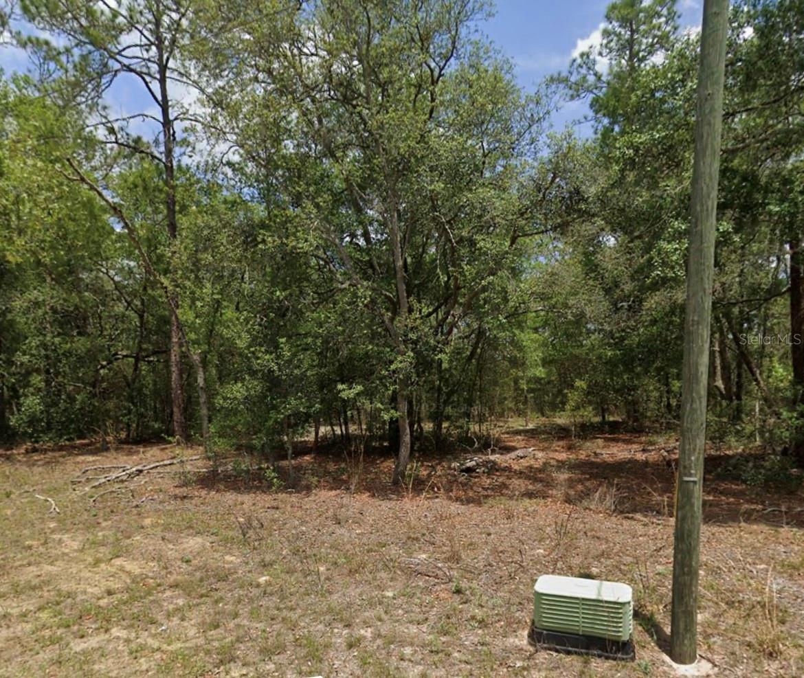 11304 N Fuego Dr Property Photo 1