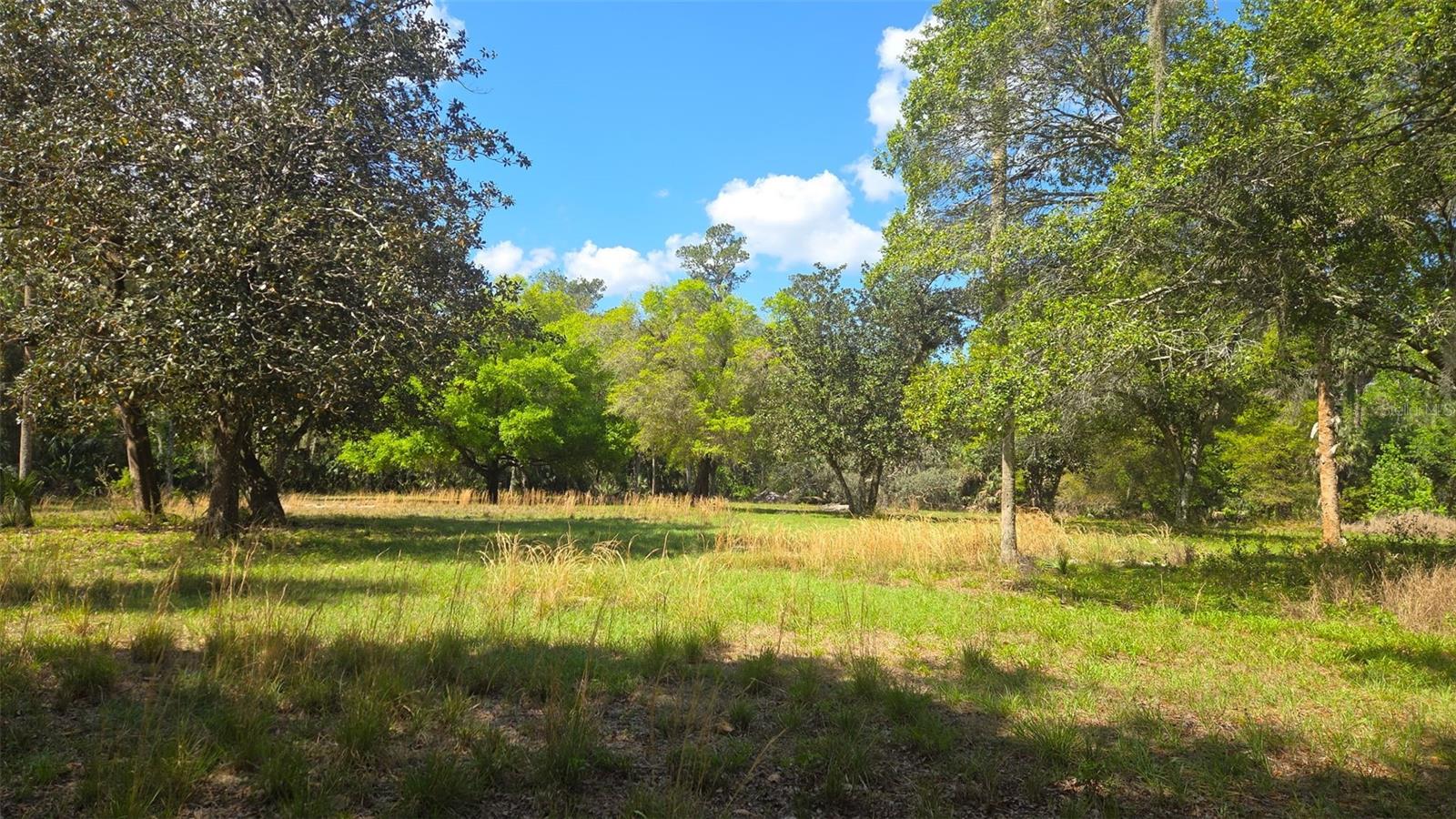 2140 St Johns River Rd Property Photo 3