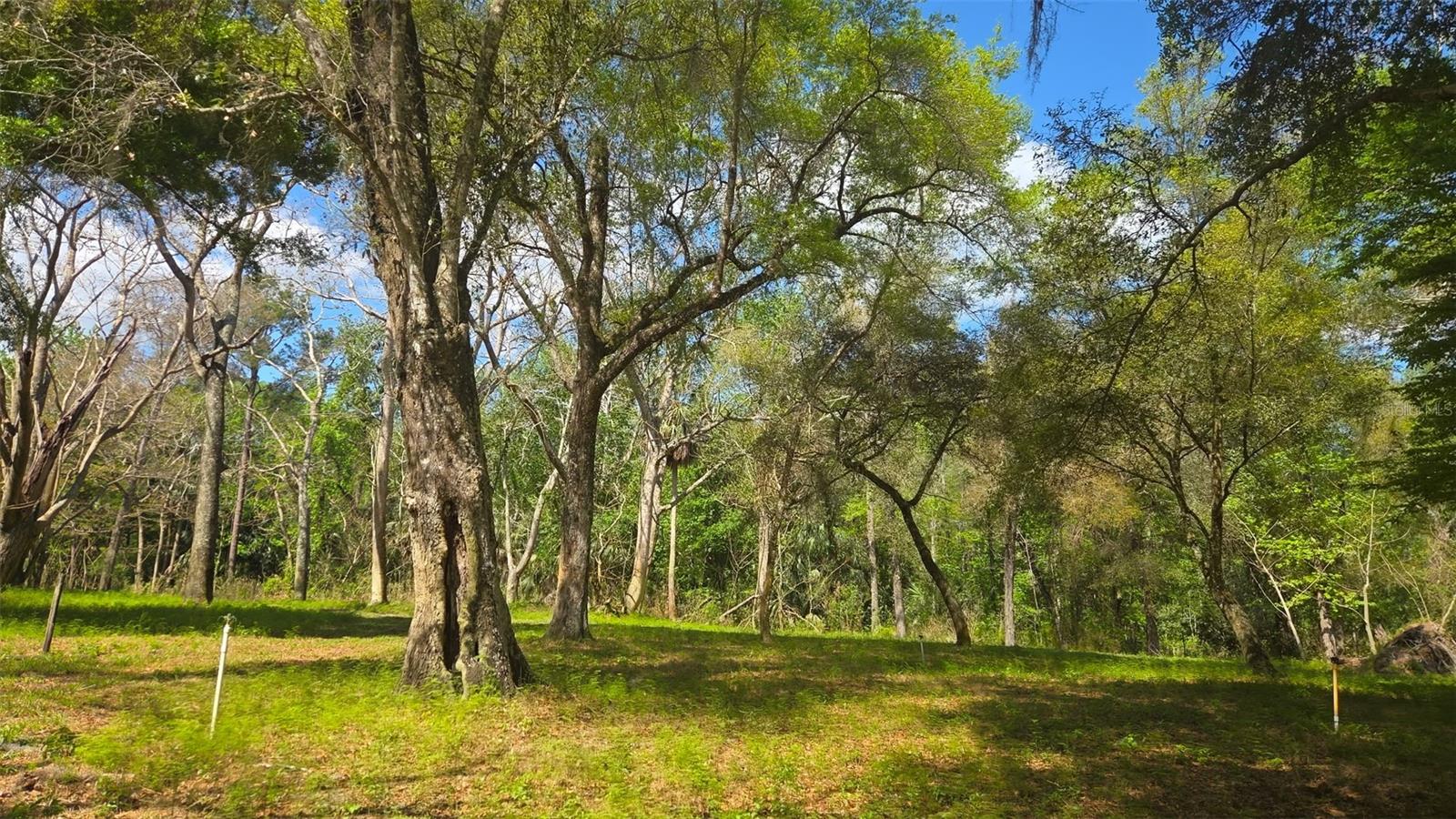 2140 St Johns River Rd Property Photo 5