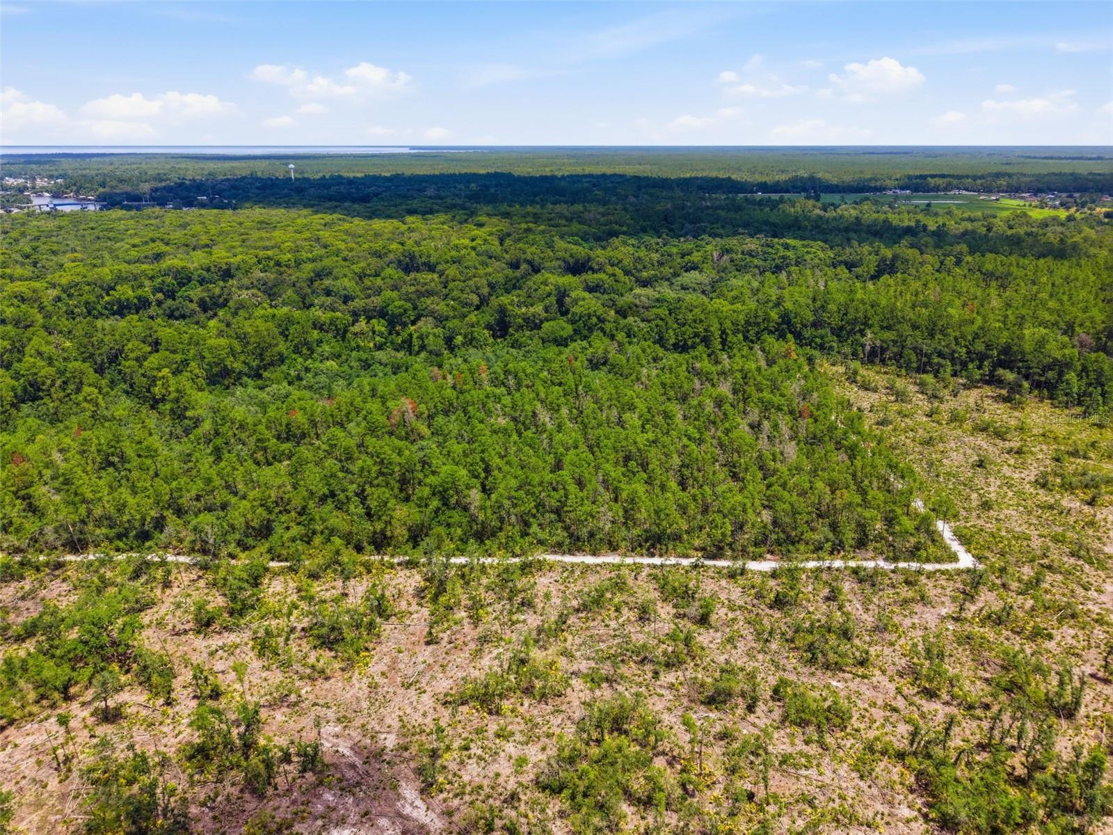 2140 St Johns River Rd Property Photo 8