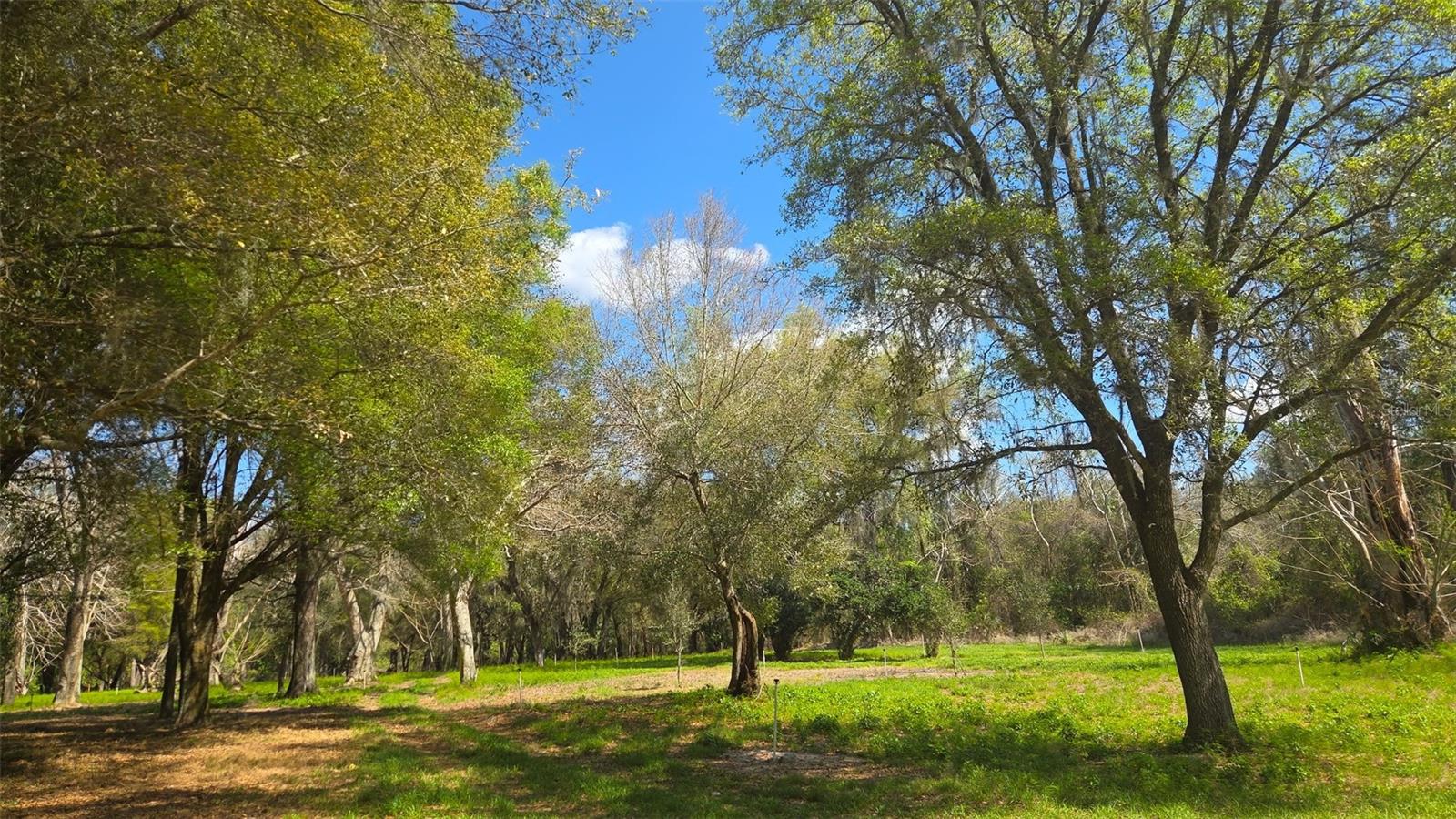 2140 St Johns River Rd Property Photo 10
