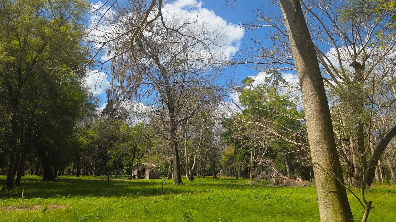 2140 St Johns River Rd Property Photo 13
