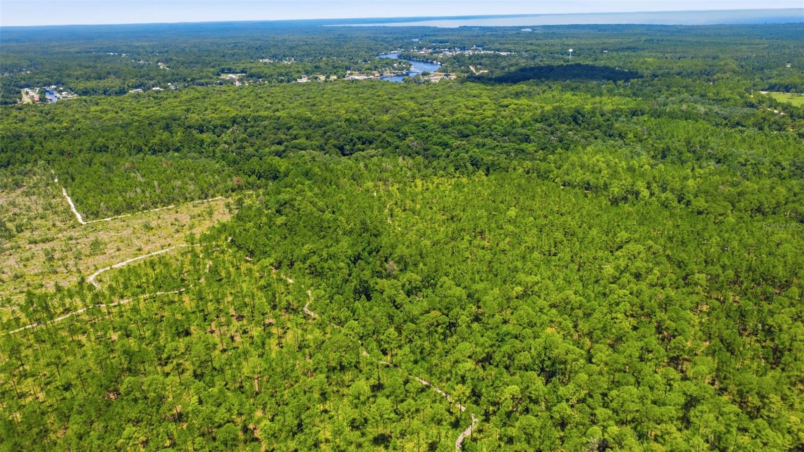 2140 St Johns River Rd Property Photo 33