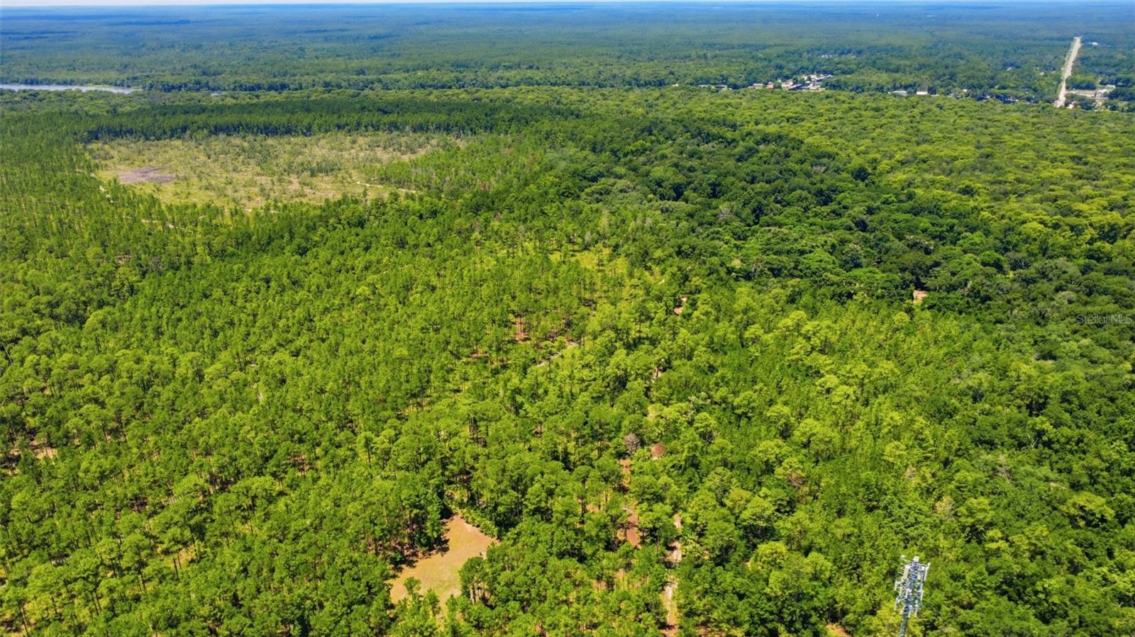 2140 St Johns River Rd Property Photo 34