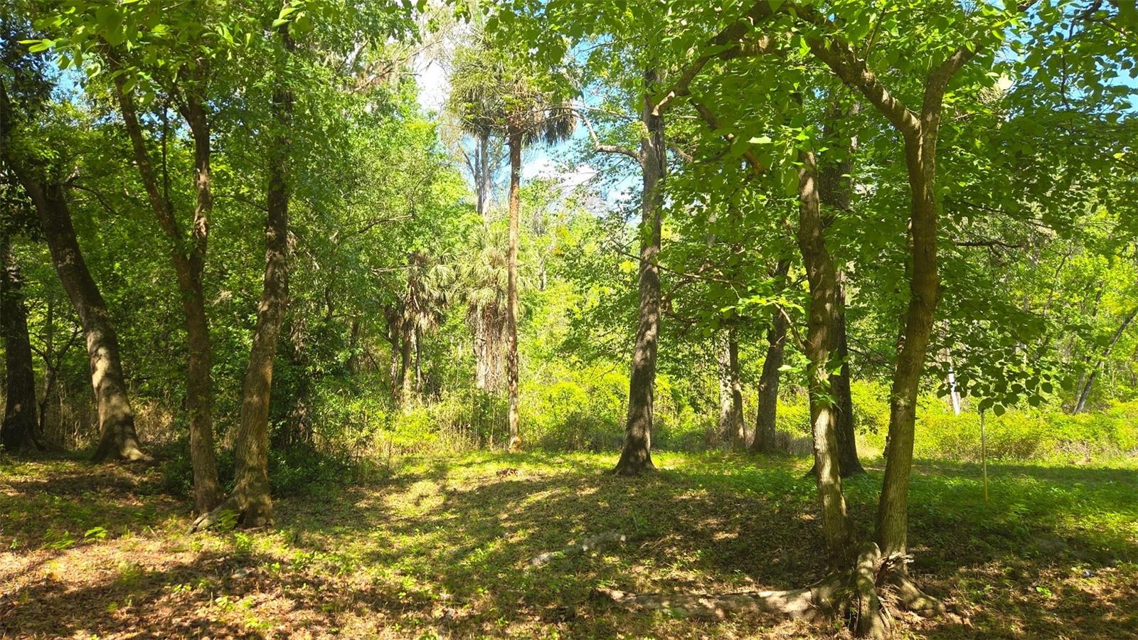 2140 St Johns River Rd Property Photo 39