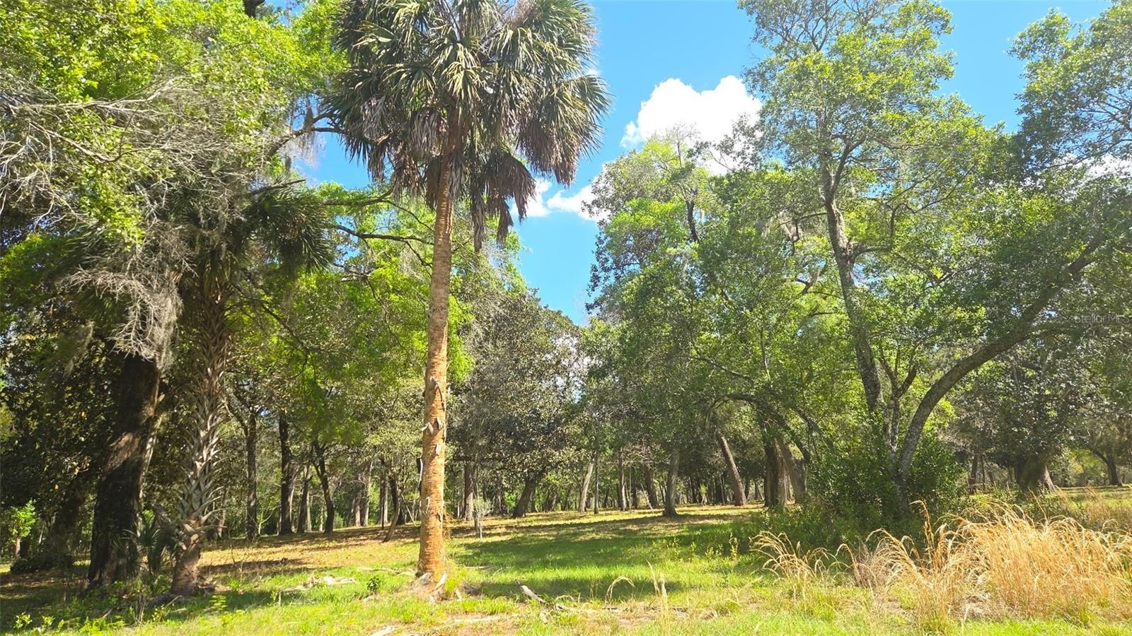 2140 St Johns River Rd Property Photo 40