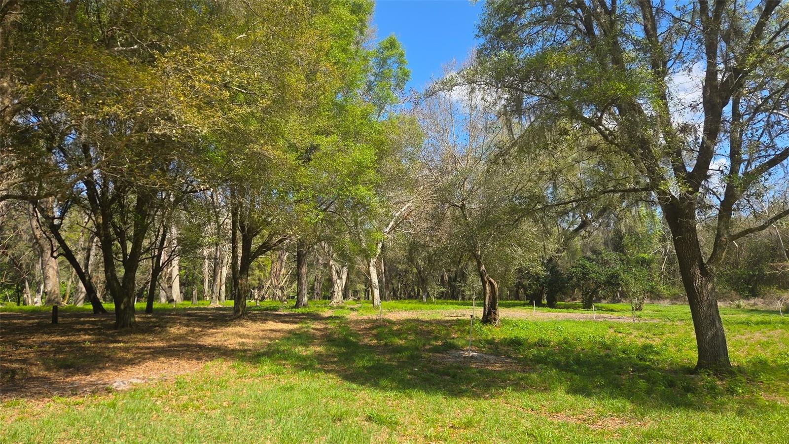 2140 St Johns River Rd Property Photo 42