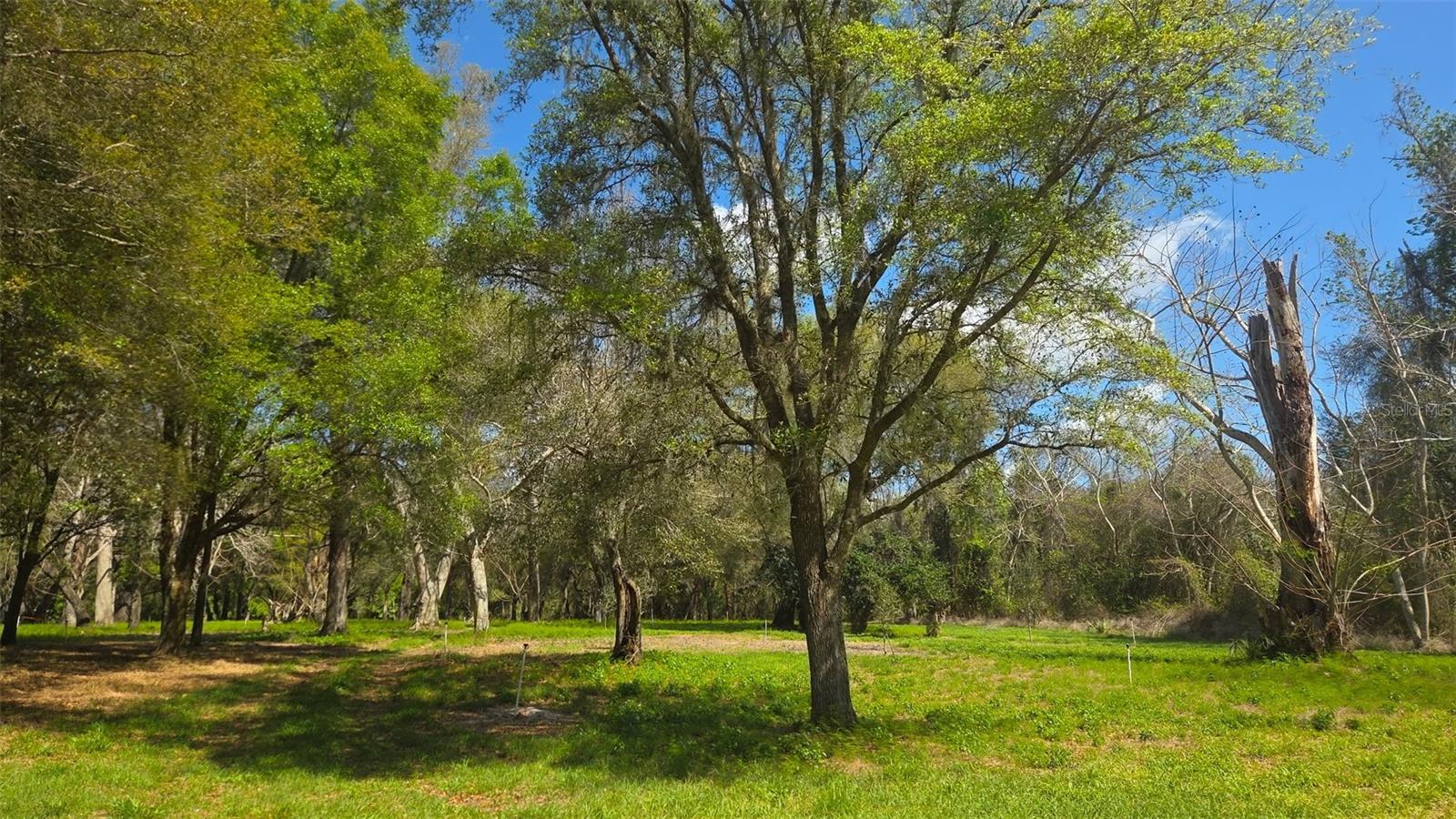 2140 St Johns River Rd Property Photo 43