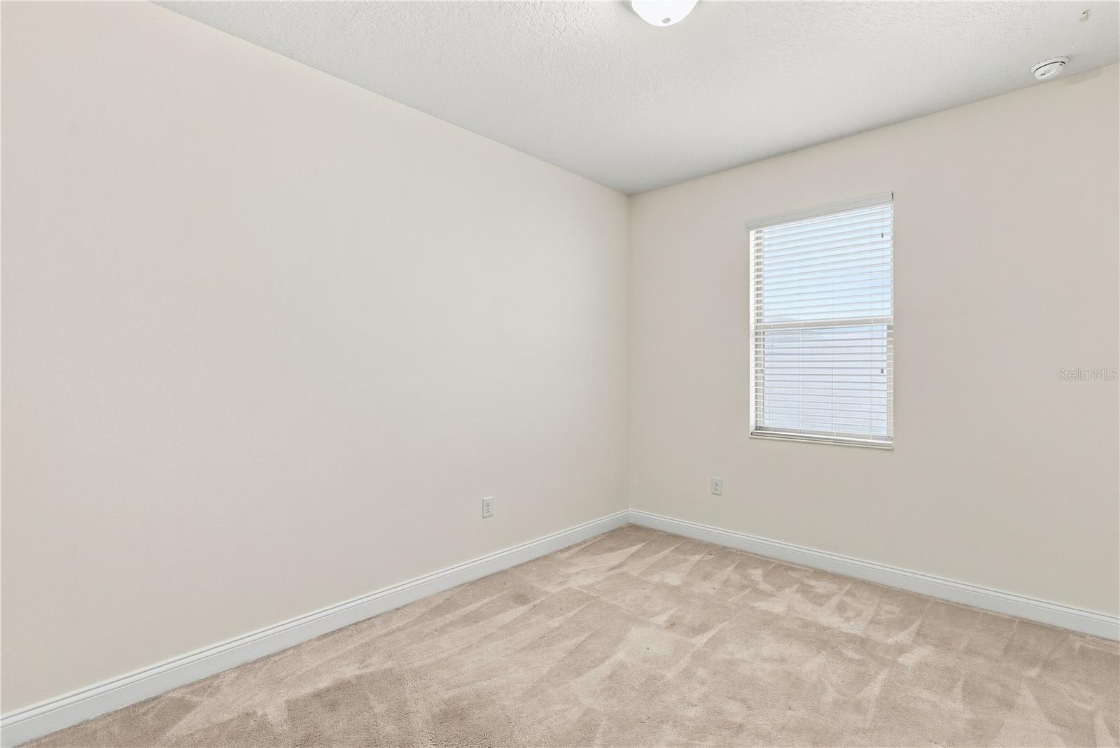 175 Ancona Ave Property Photo 31