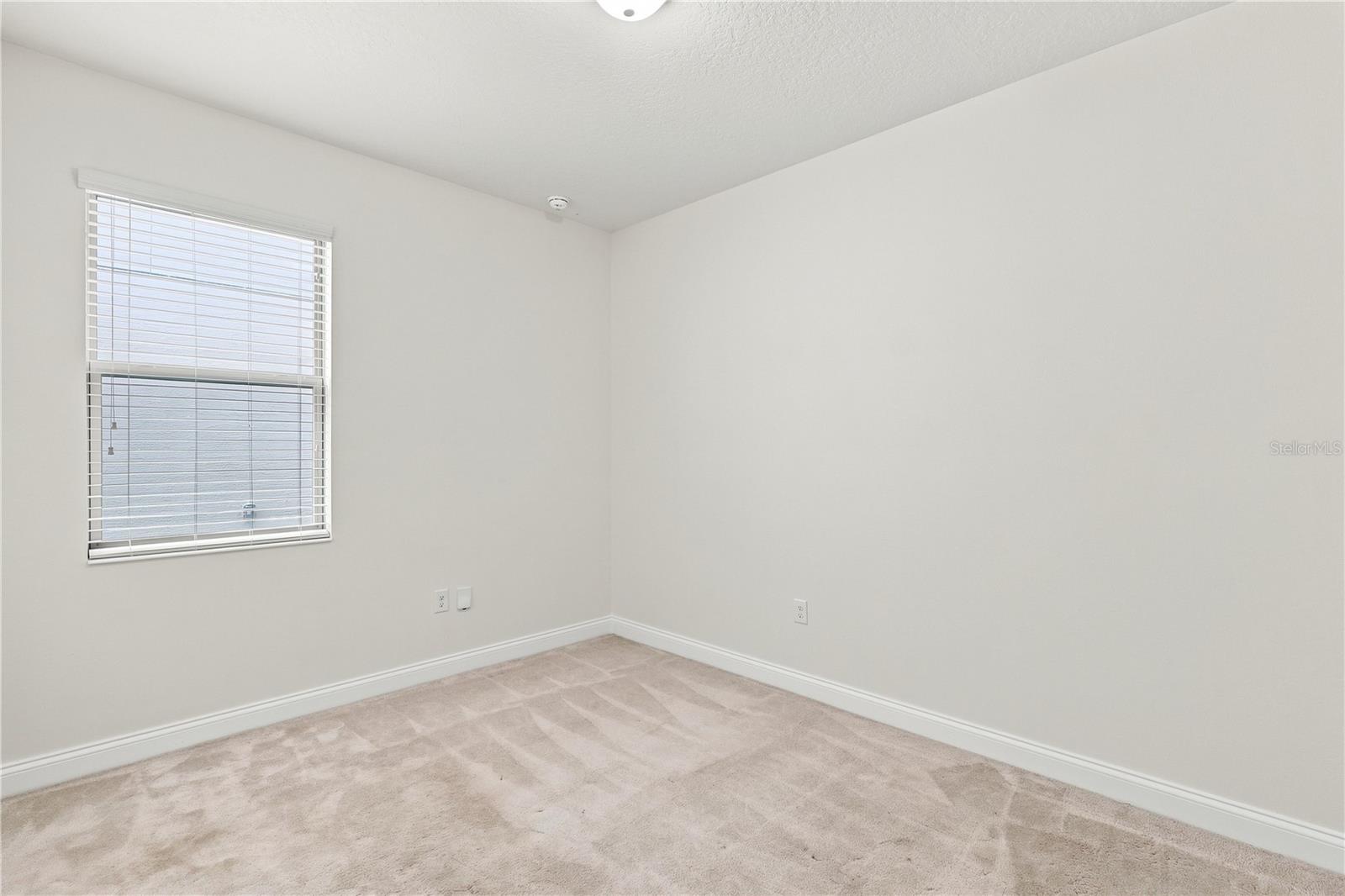 175 Ancona Ave Property Photo 34