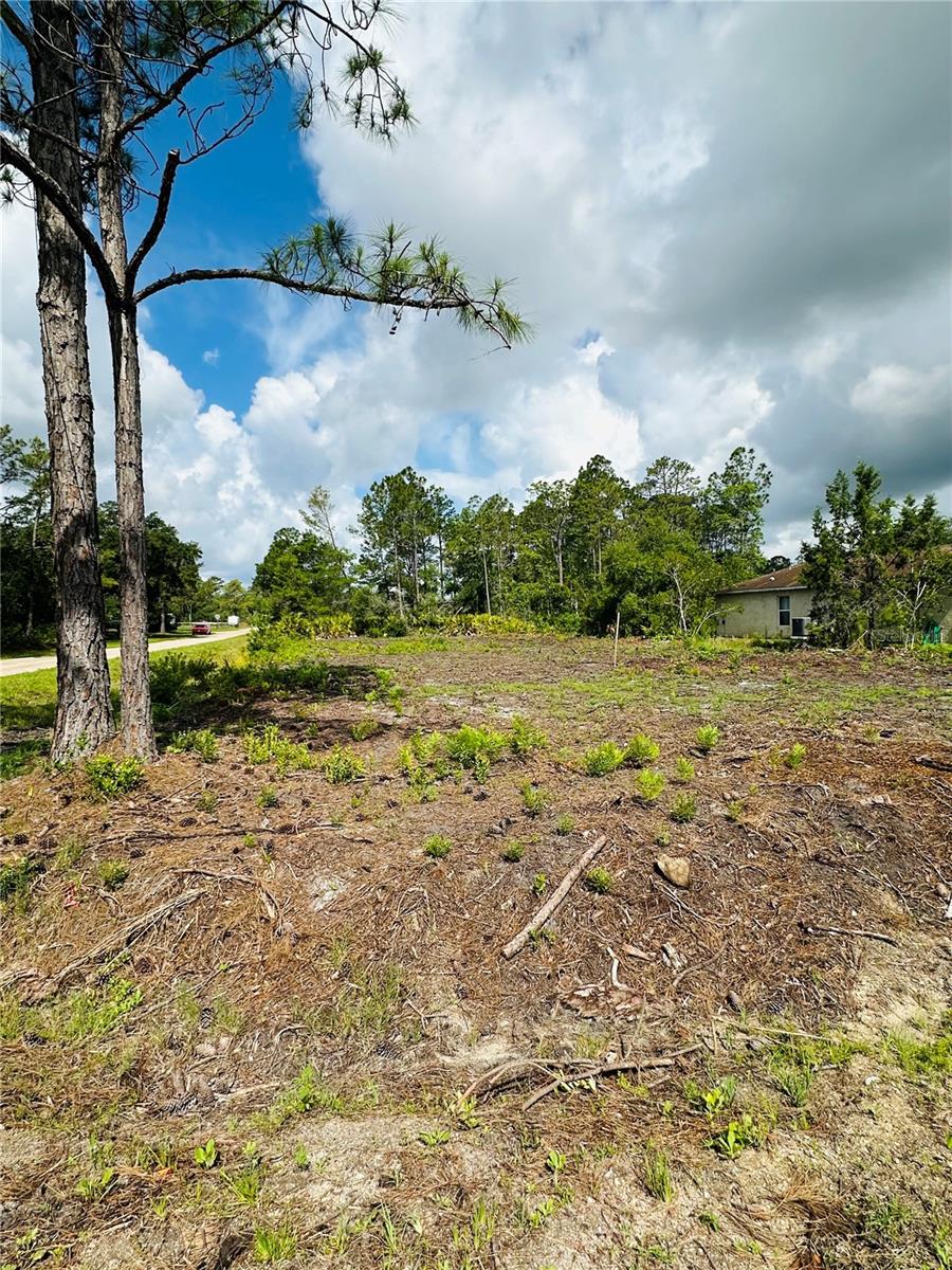2873 Laurel Rd Property Photo 2