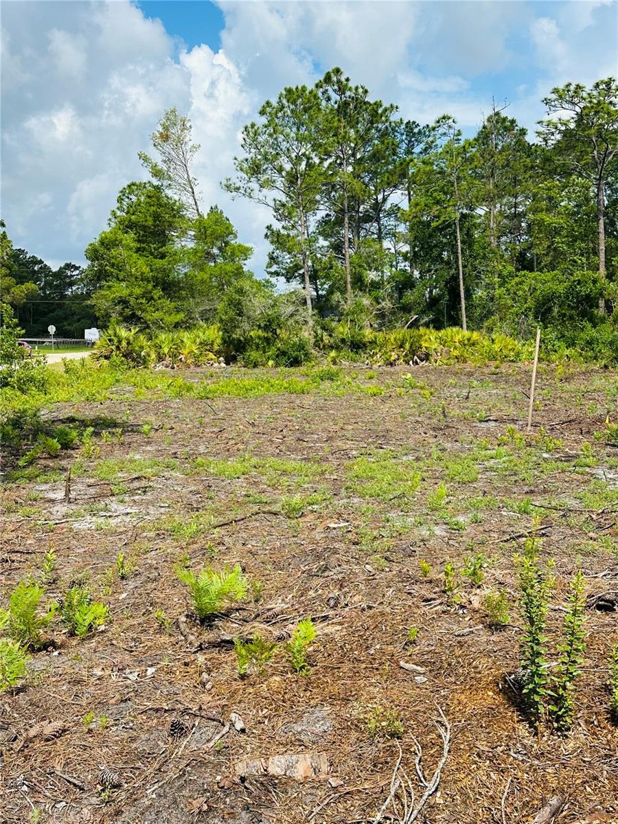 2873 Laurel Rd Property Photo 3