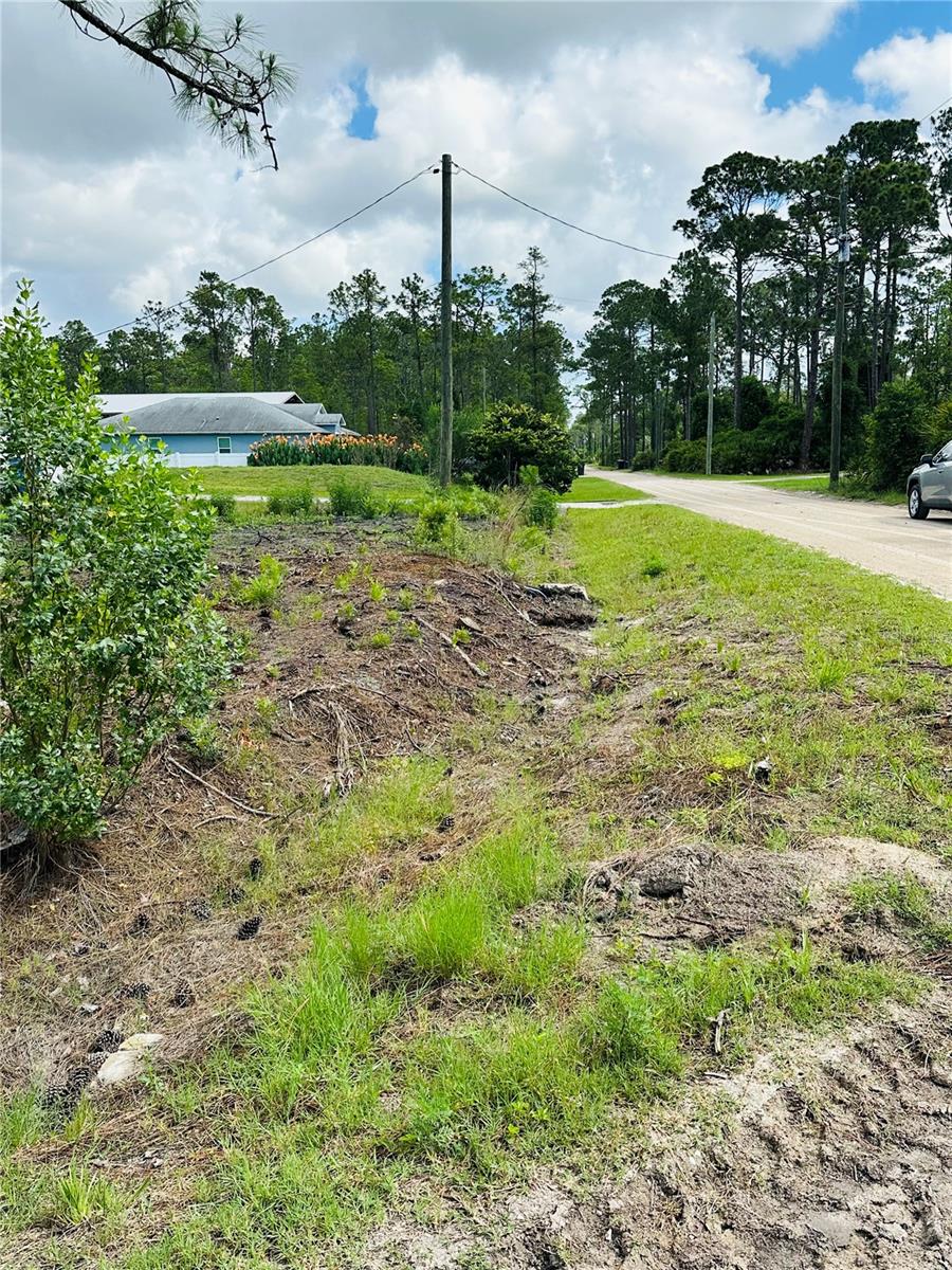 2873 Laurel Rd Property Photo 4