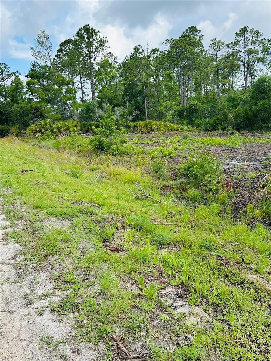 2873 Laurel Rd Property Photo 5