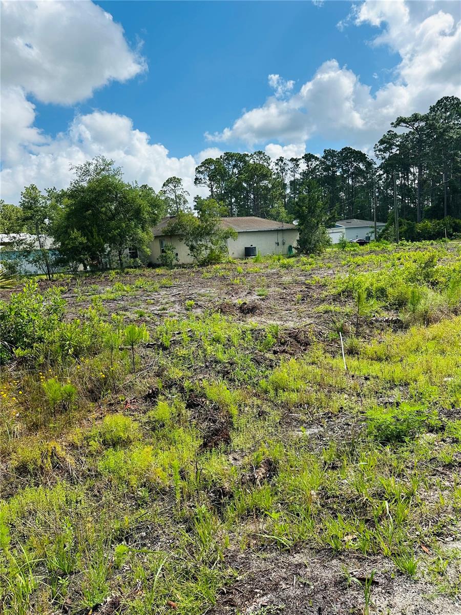 2873 Laurel Rd Property Photo 6