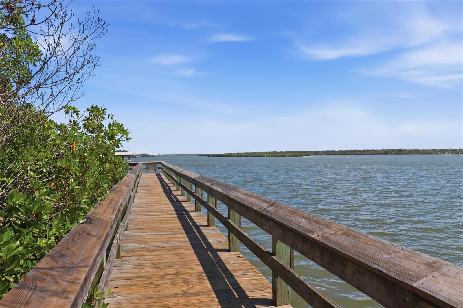856 Ladyfish Ave Property Photo 49