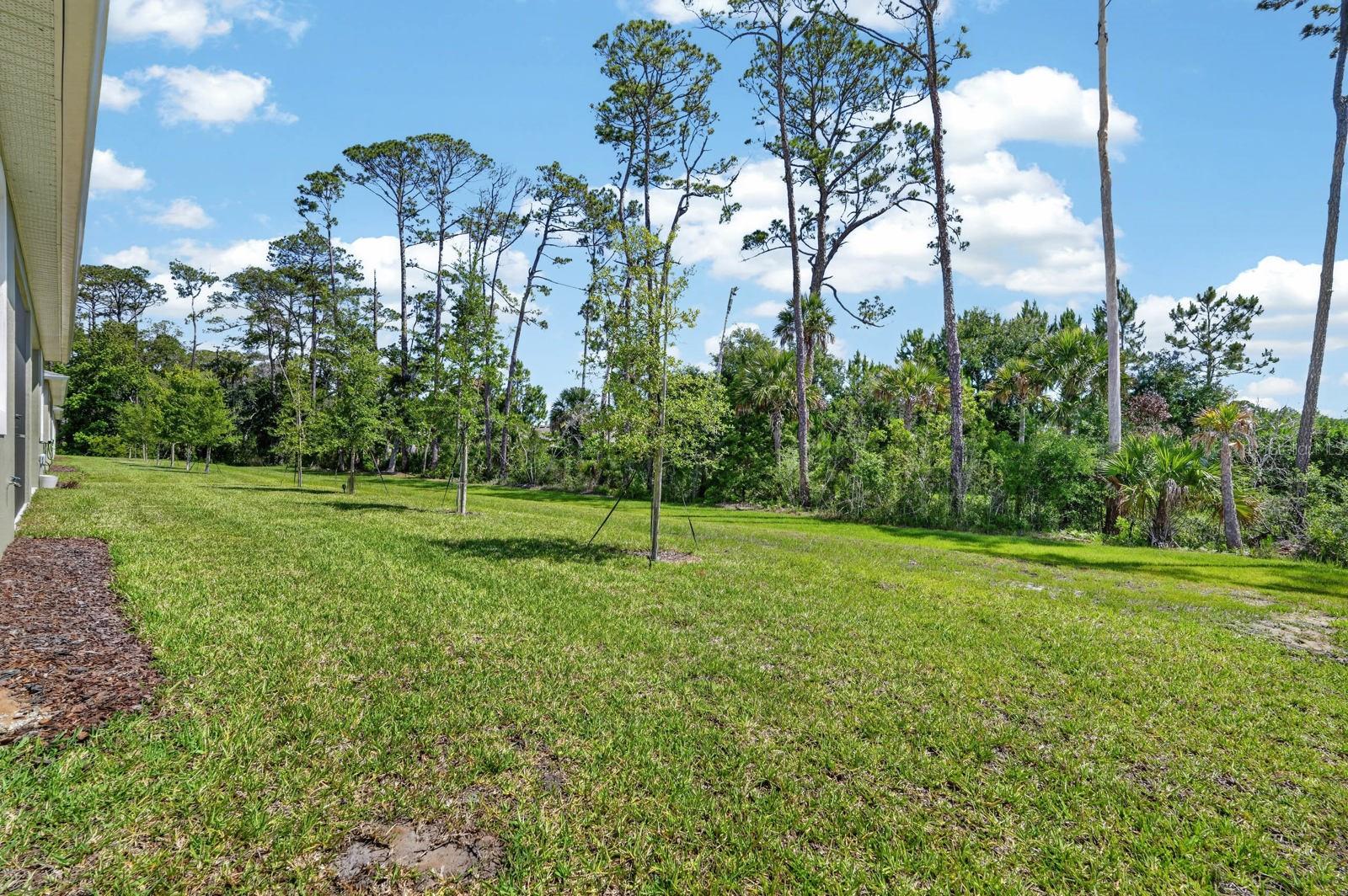 2708 Kinsale Ln Property Photo 35