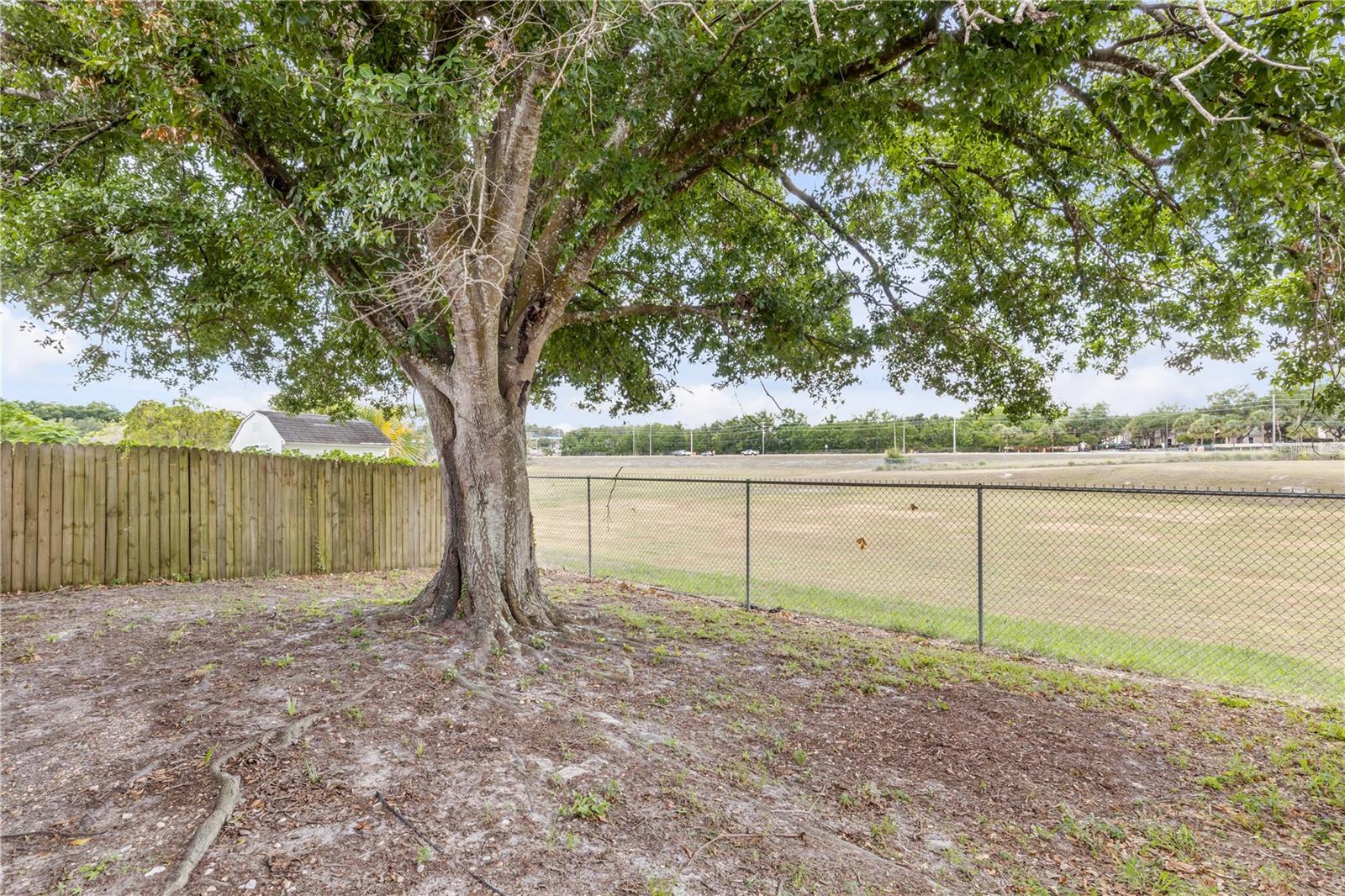 5546 Regal Oak Cir Property Photo 19