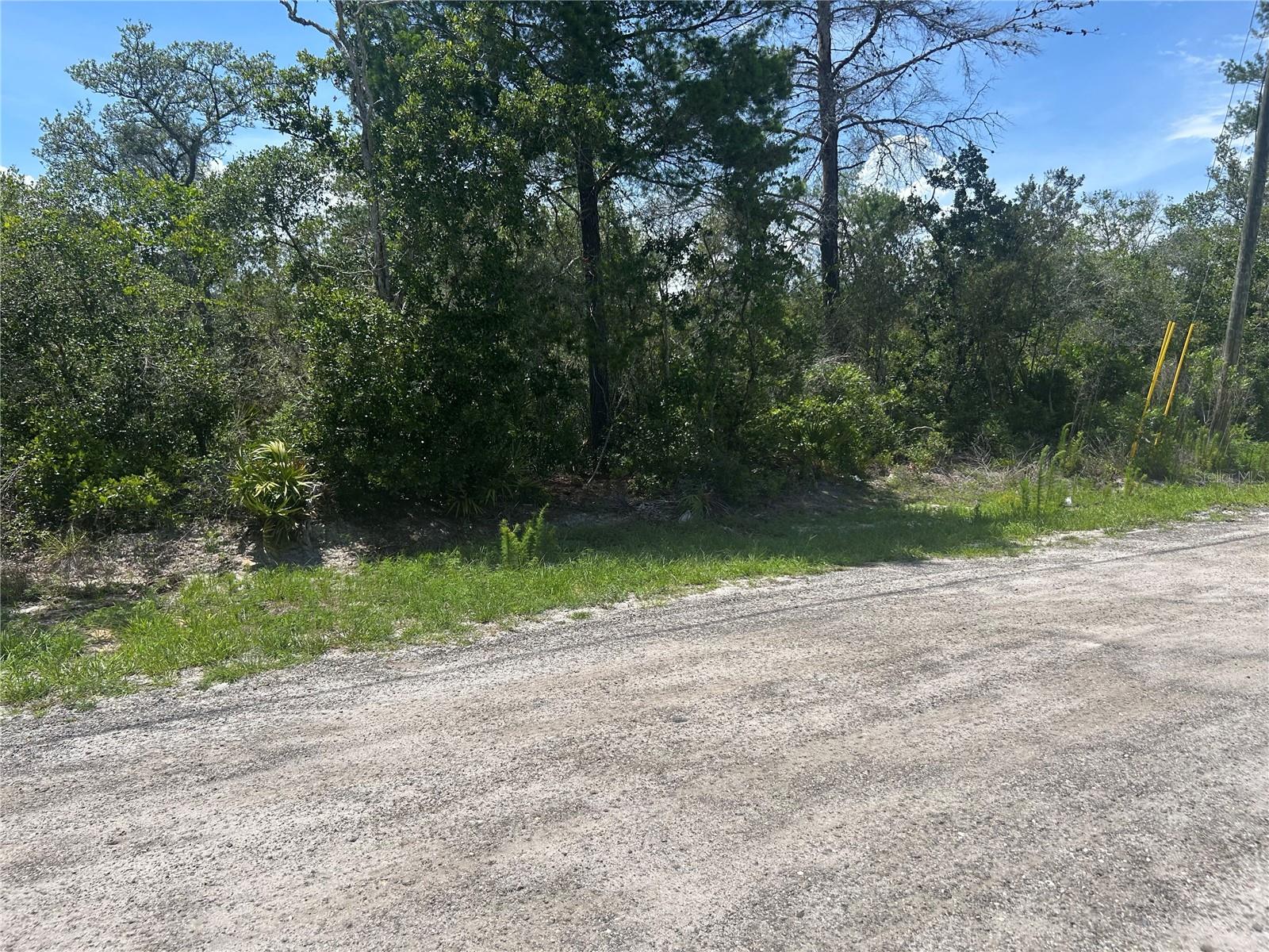 WALDOR AVE Property Photo 1
