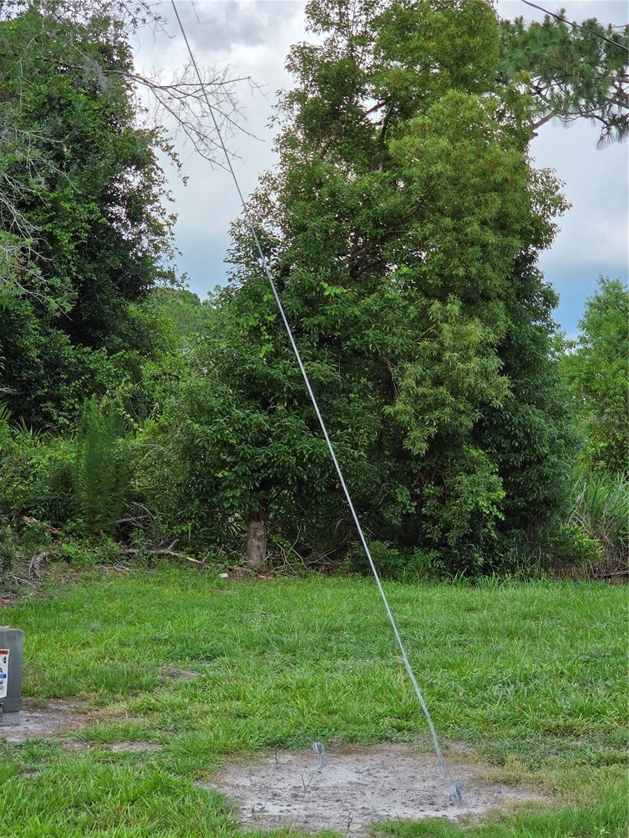 3227 Urmey Ave Property Photo 2