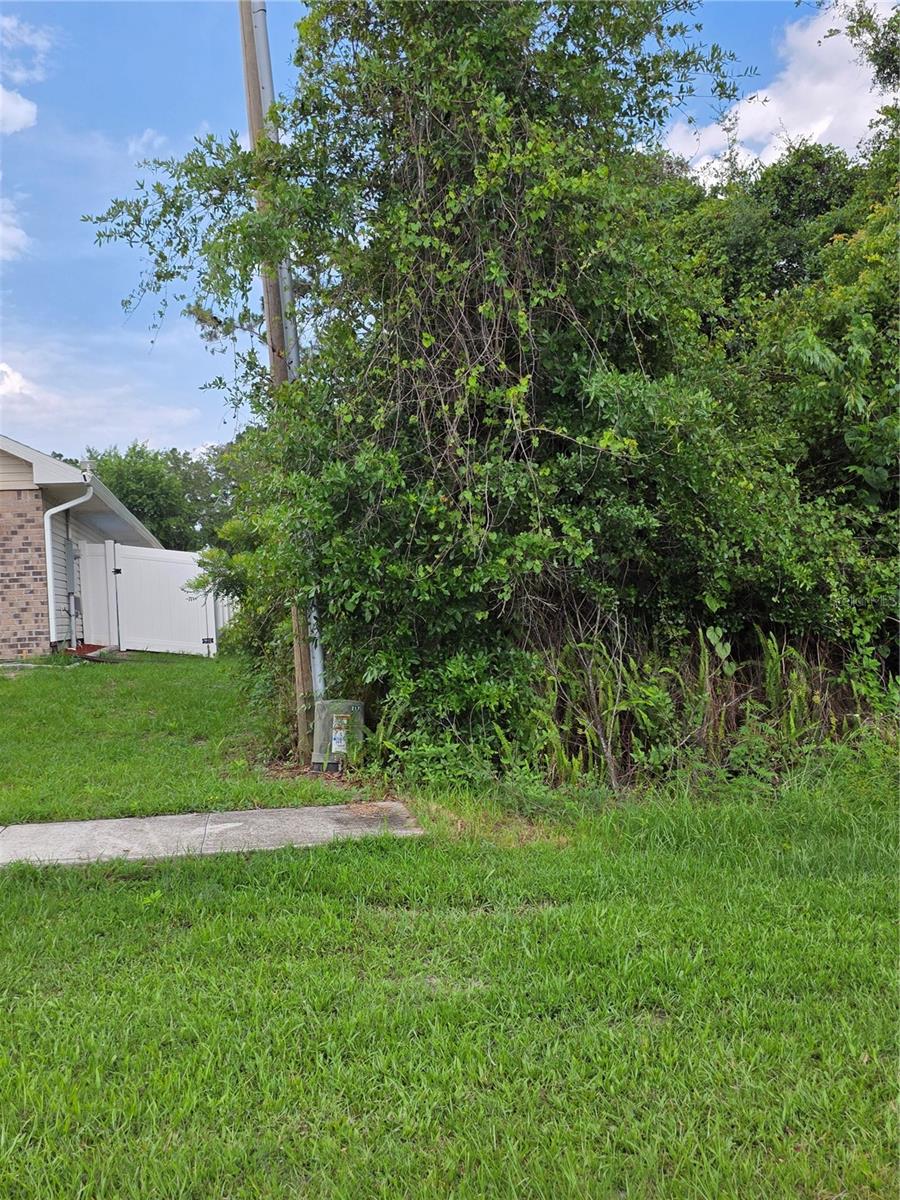 3227 Urmey Ave Property Photo 4