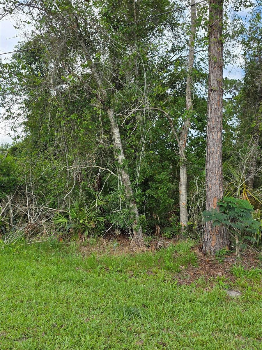 3227 Urmey Ave Property Photo 6