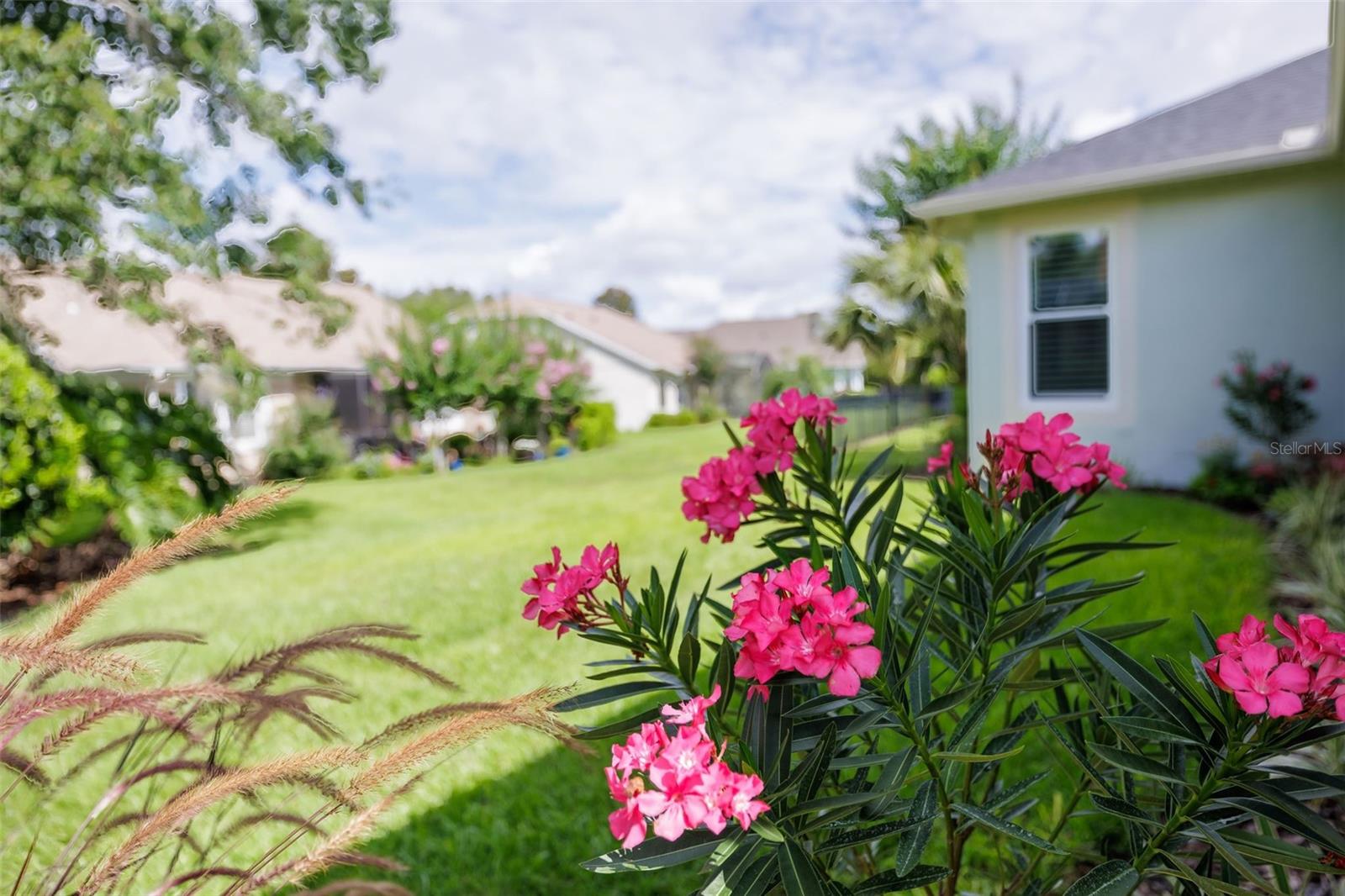 309 Bellingrath Ter Property Photo 44