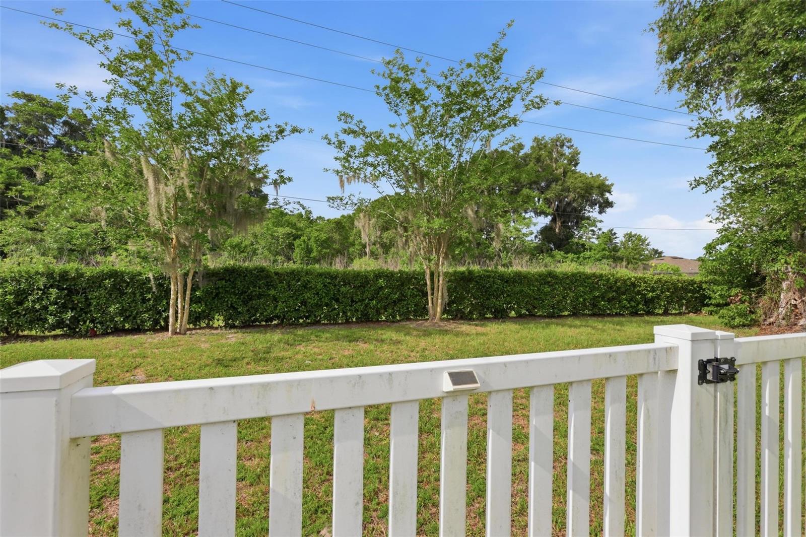 1037 River Otter Way Property Photo 37