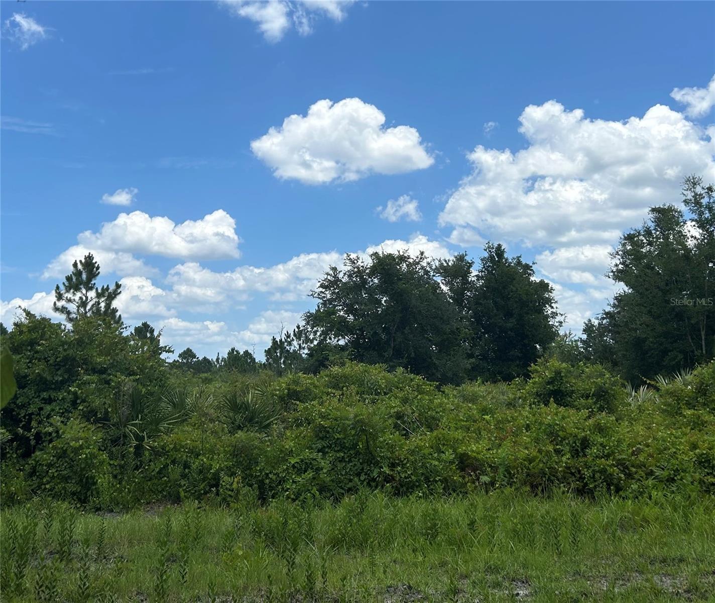 1671 Ford Rd Property Photo 6