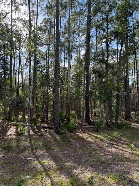 207 OCALA CT Property Photo 1