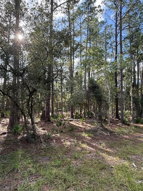 207 Ocala Ct Property Photo 2
