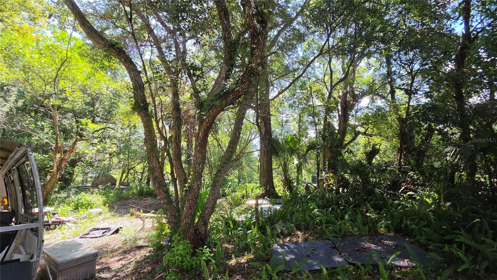 236 N Amelia Ave Property Photo 13