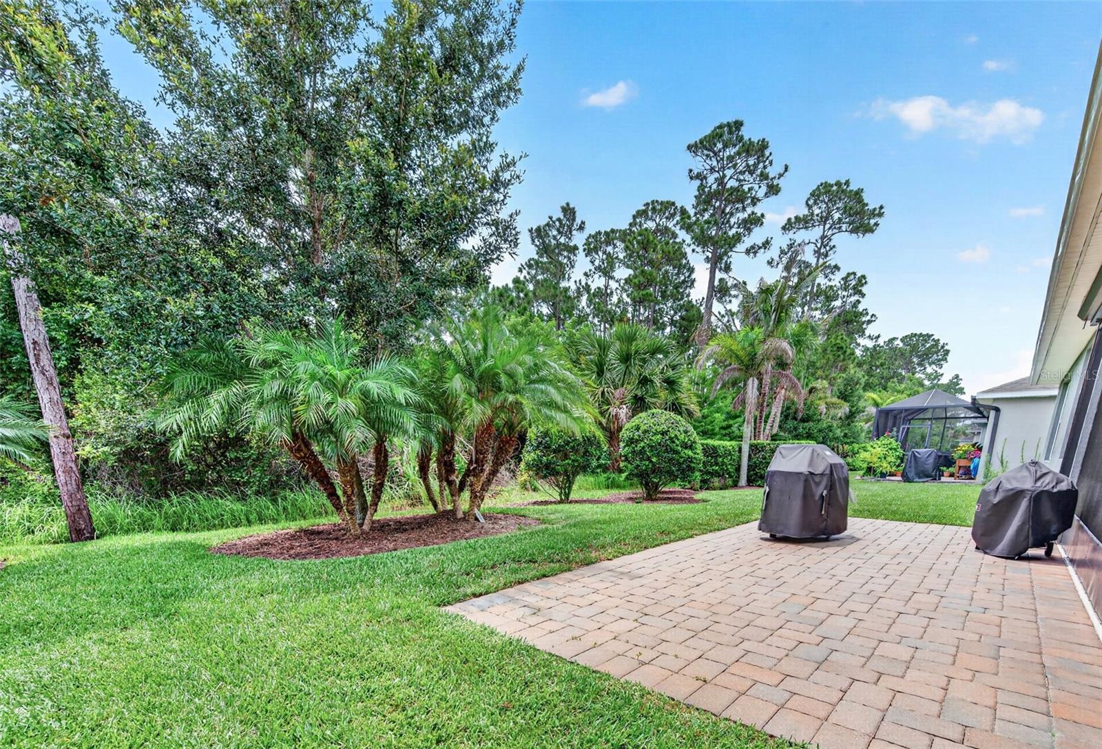 3468 Diamond Leaf Dr Property Photo 43