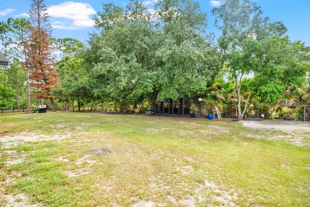 3346 Tarragon St Property Photo 28