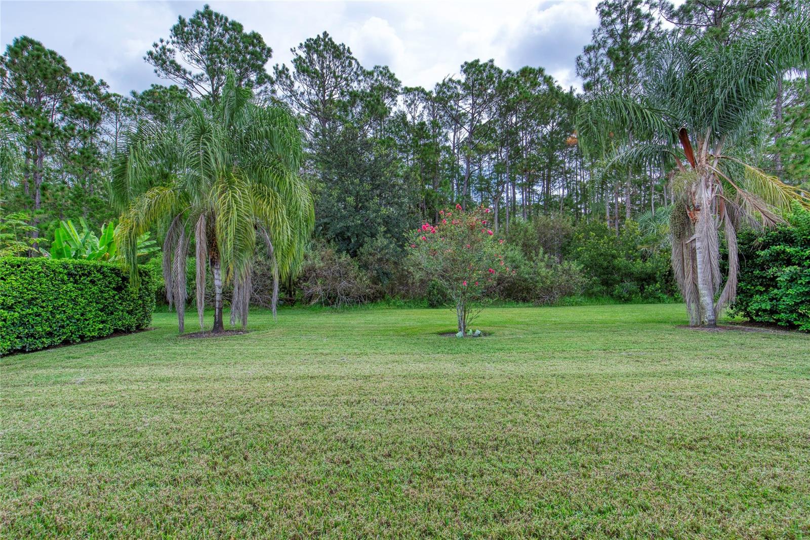 56 Thornhill Chase Cir Property Photo 47