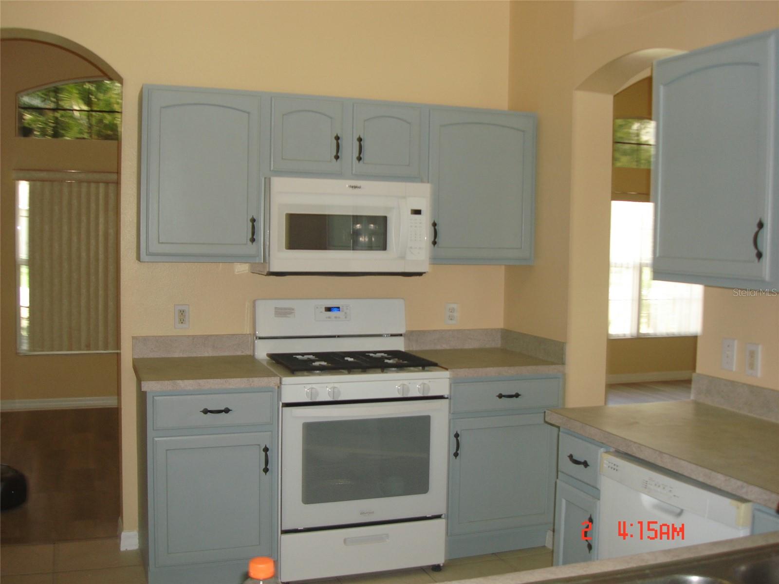 606 Alder Grove Dr Property Photo 8