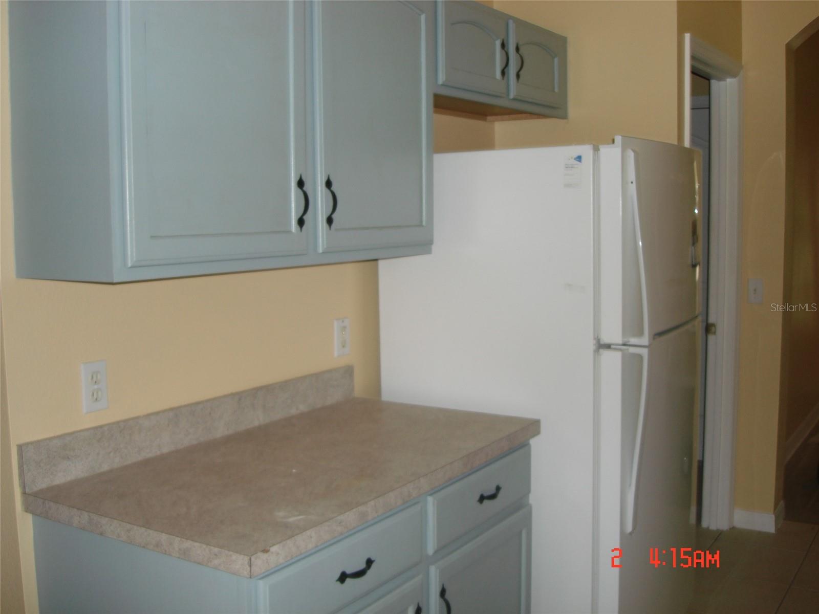 606 Alder Grove Dr Property Photo 10