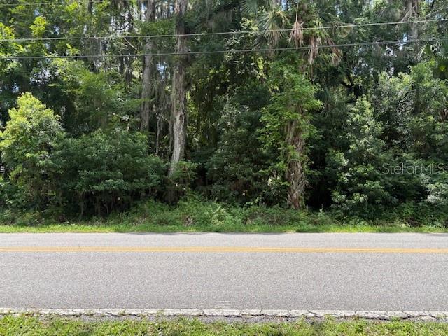 2263 Hontoon Rd Property Photo 2
