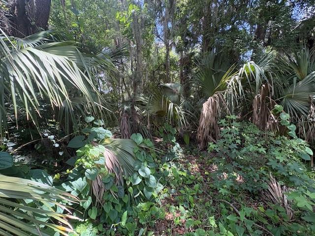 2263 Hontoon Rd Property Photo 6