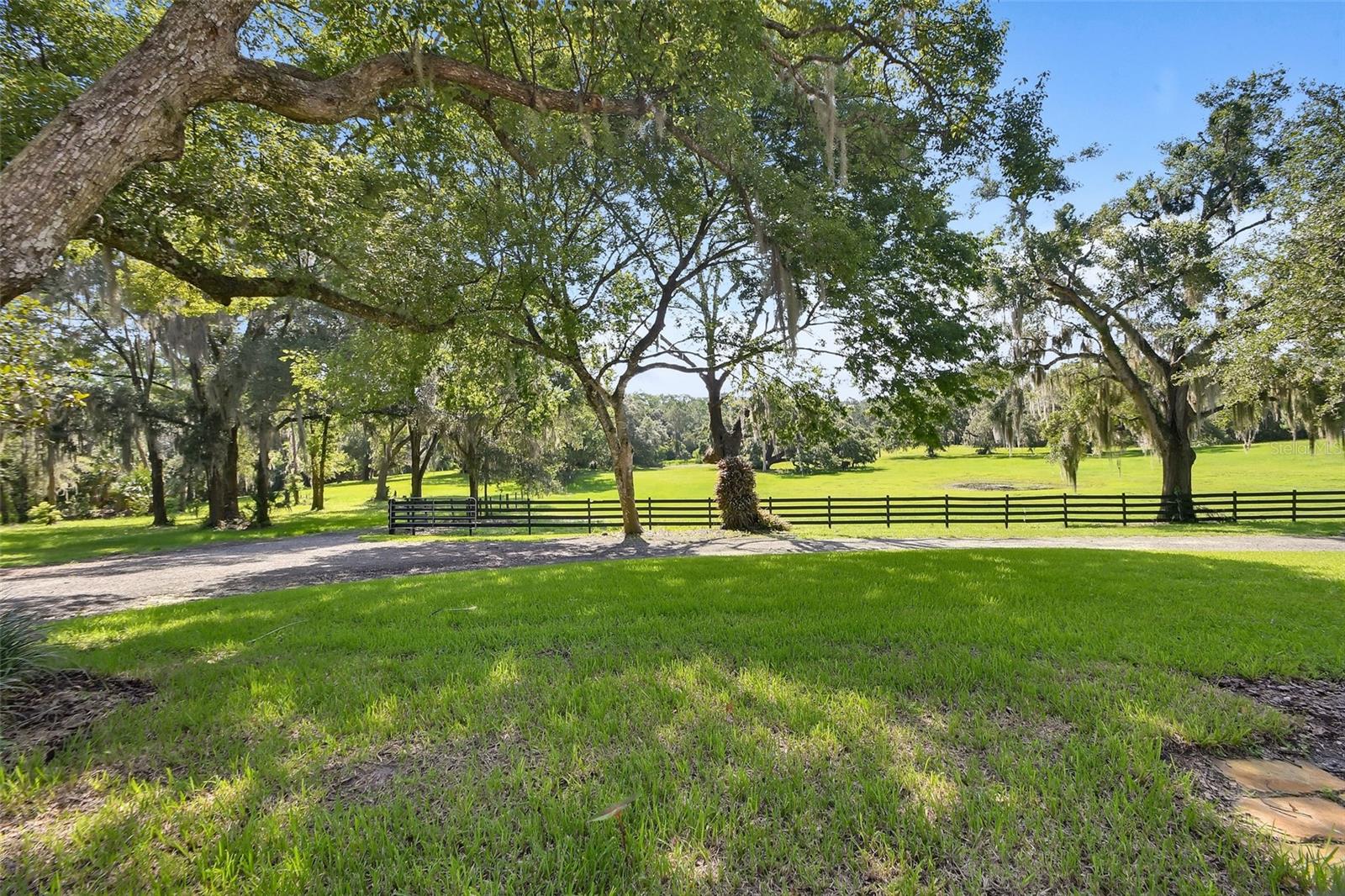 900 E Kicklighter (5 +- Acres) Rd Property Photo 46