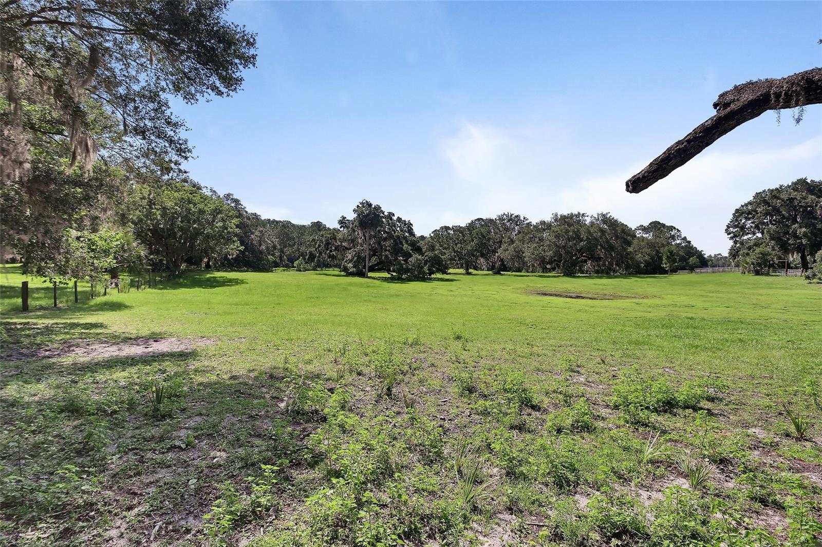 900 E Kicklighter (5 +- Acres) Rd Property Photo 49