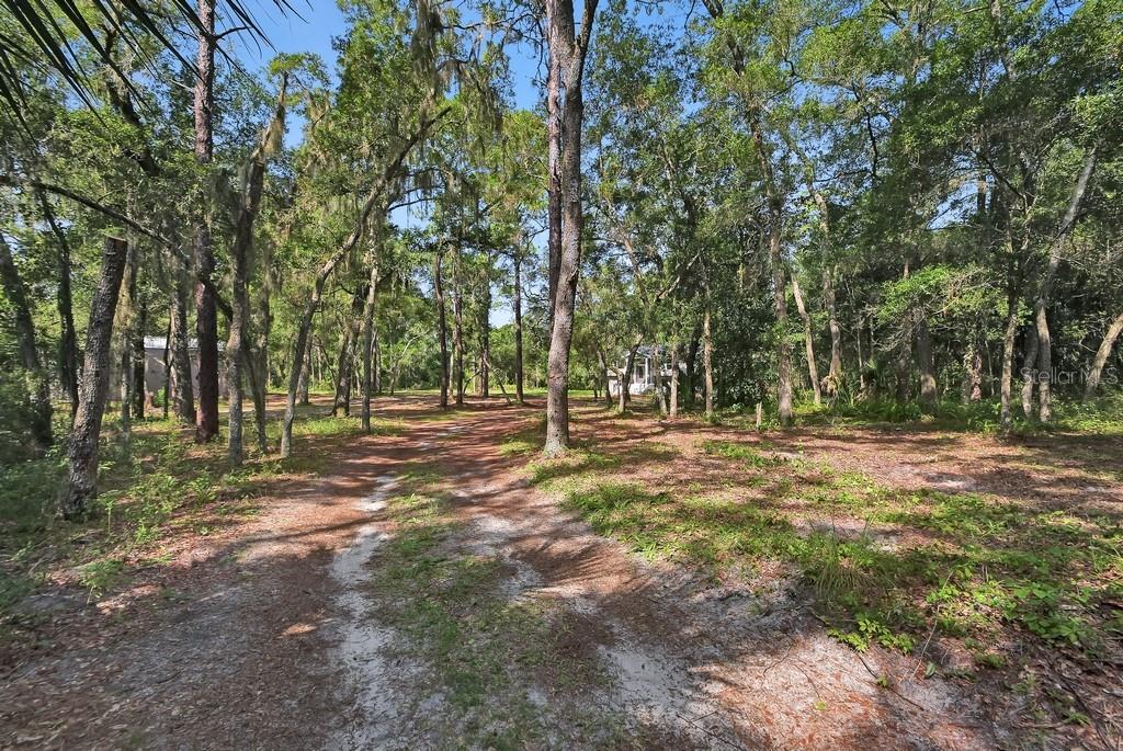 1530 Deermoss Ln Property Photo 58