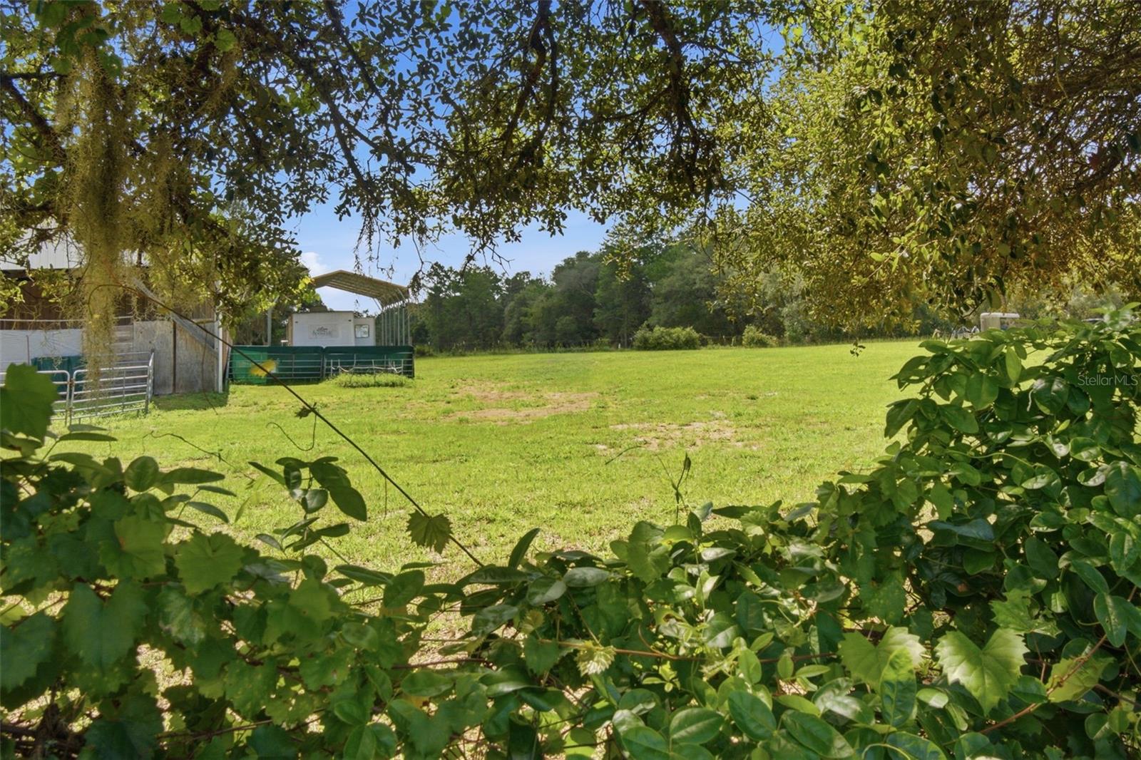 32416 Pine Rd Property Photo 44