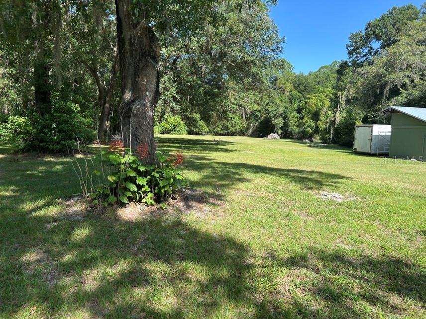 40841 Louise Rd Property Photo 18