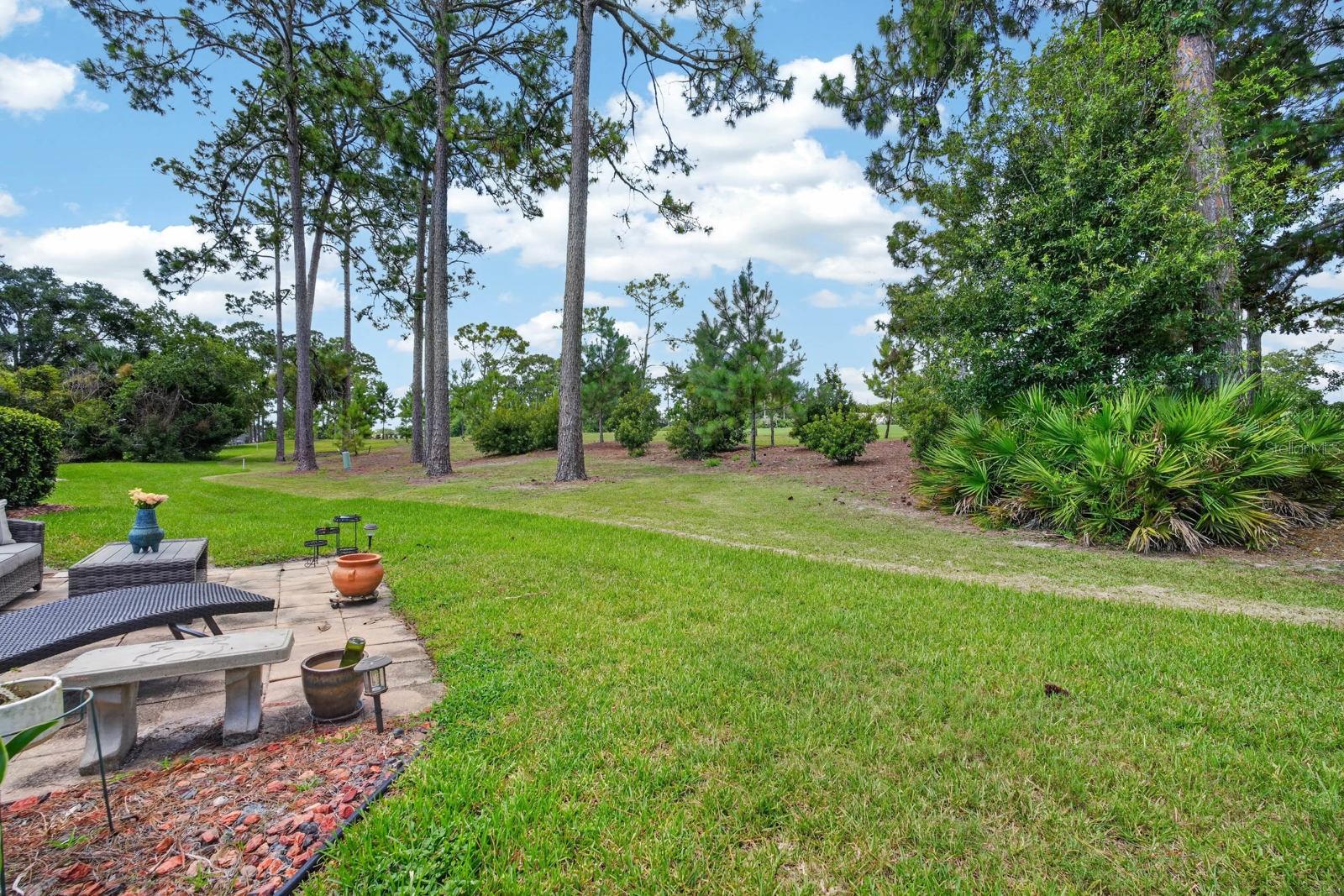 8 Jasmine Run Property Photo 38