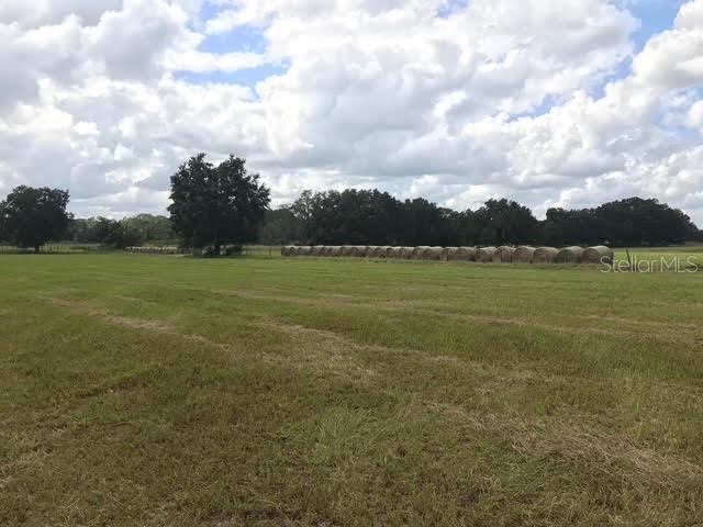 2736 Empire Church Rd Property Photo 13