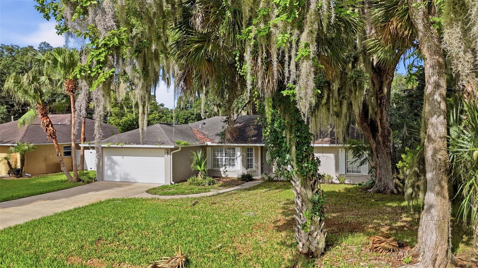 3128 Mango Tree Dr Property Photo 32
