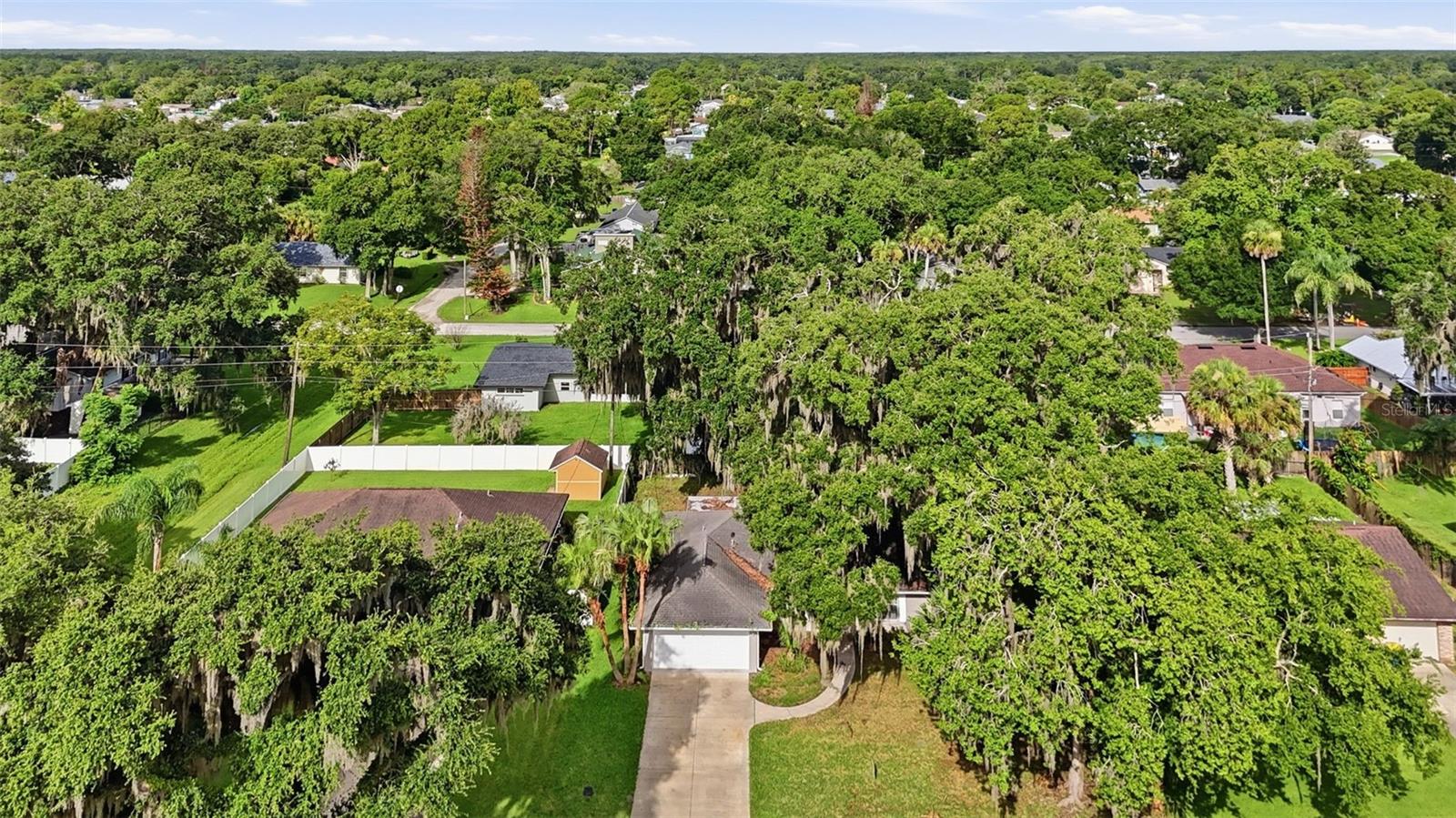 3128 Mango Tree Dr Property Photo 39