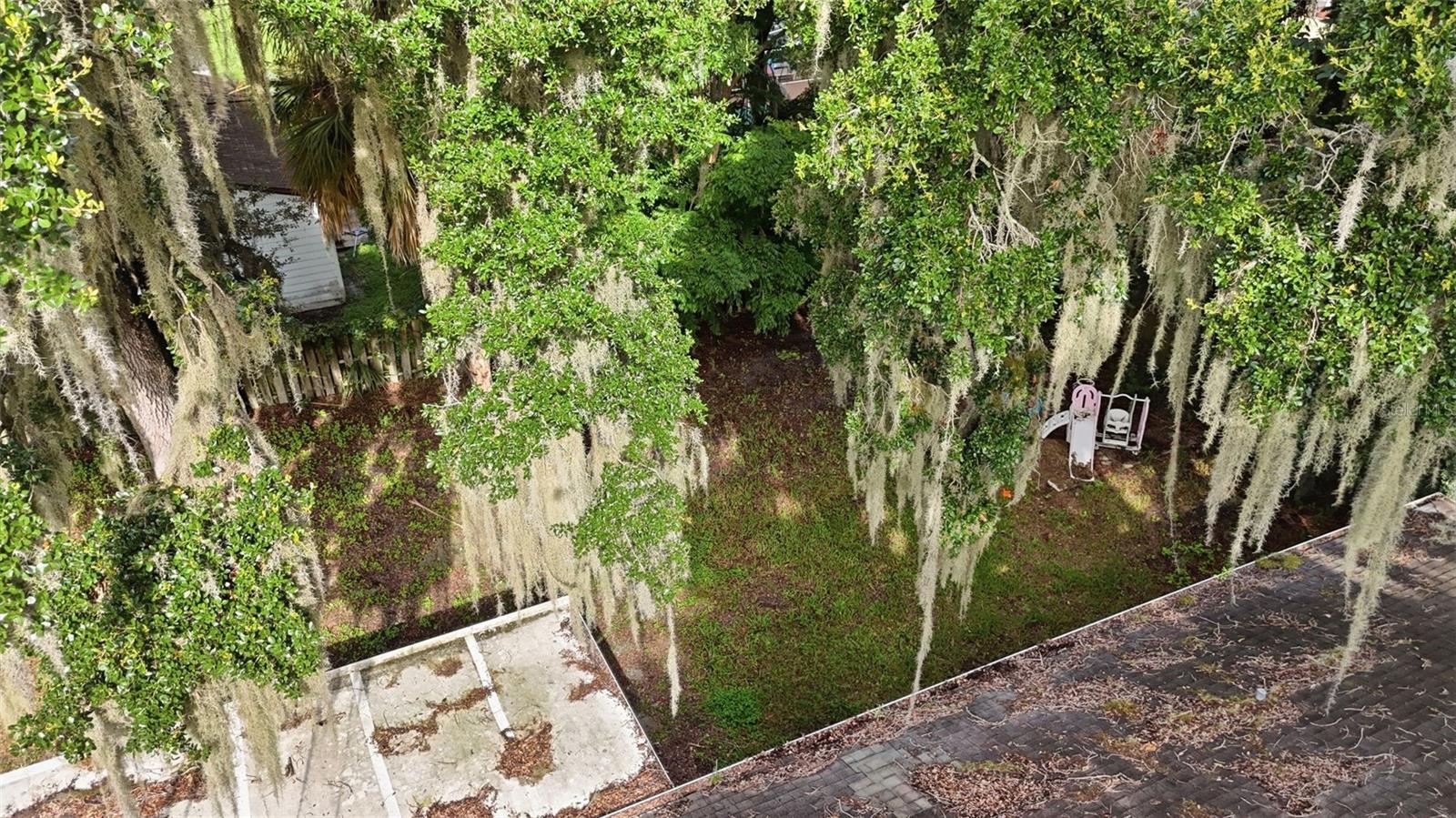 3128 Mango Tree Dr Property Photo 42